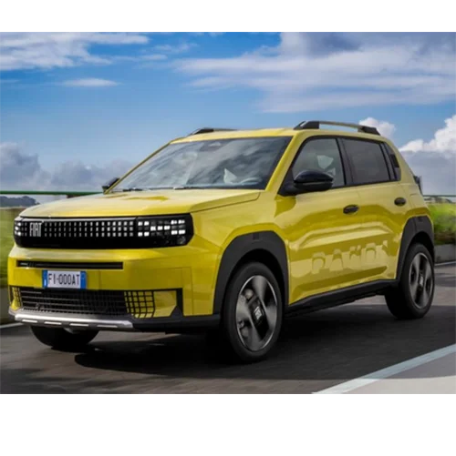 Fiat Professional — Grande Panda, 600