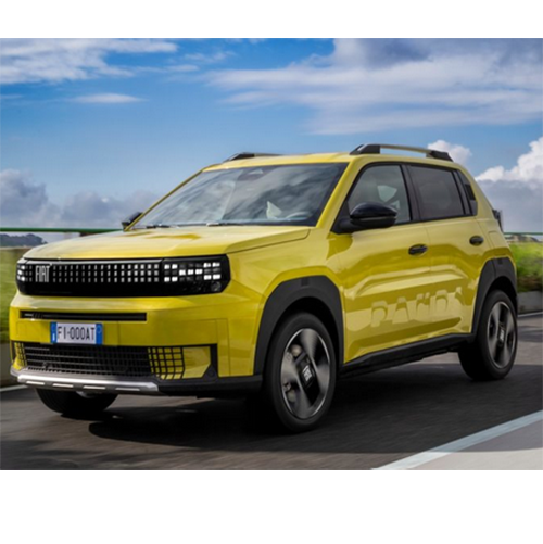 Fiat Professional — Grande Panda, 600