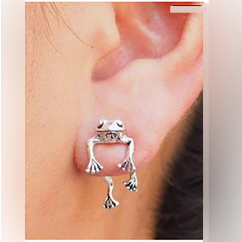 Silver Frog Earring