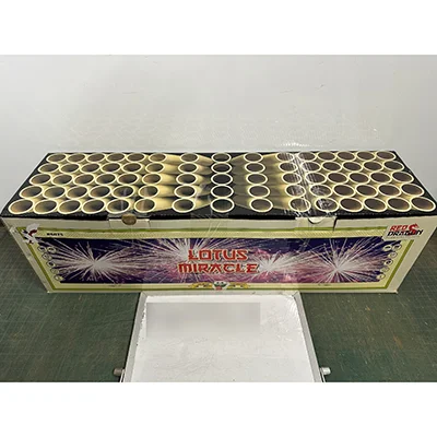 Fireworks International B.V. — Lotus Miracle