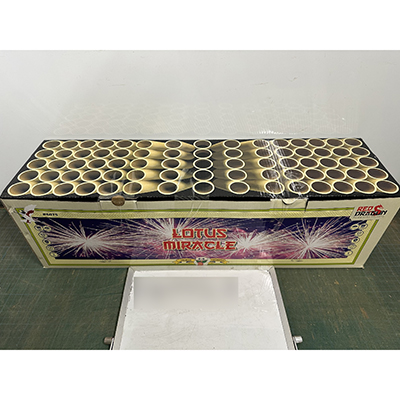 Fireworks International B.V. — Lotus Miracle