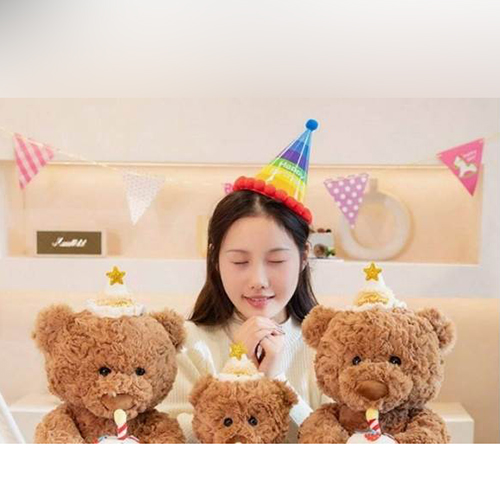 Stuffed Plush Toy- Hug Series birthday Bear push Toy