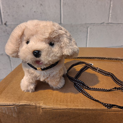 Dodowin — Walking Toy Dog