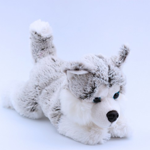 GAUSAPA — Peluche husky