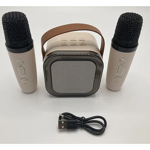 Colorful karaoke sound system — Wireless Karaoke Speaker