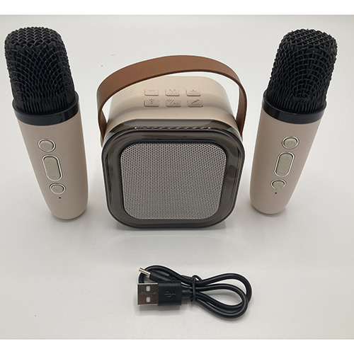 Colorful karaoke sound system — Wireless Karaoke Speaker
