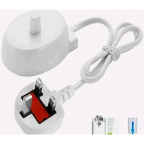 Electric toothbrush charger