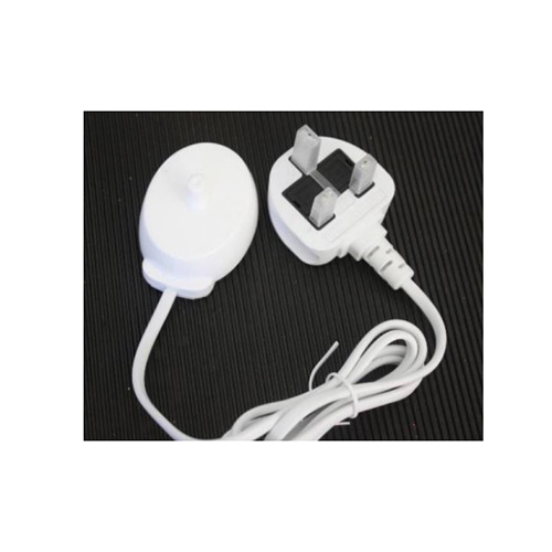 Shenzhen Binsheng Technology Development Co Ltd — White Toothbrush Charger