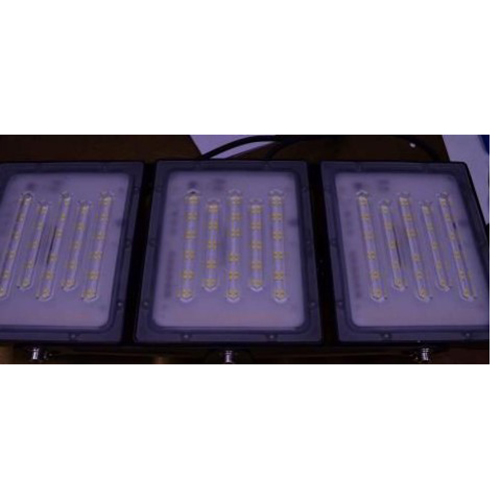 STASUN — LED Floodlight