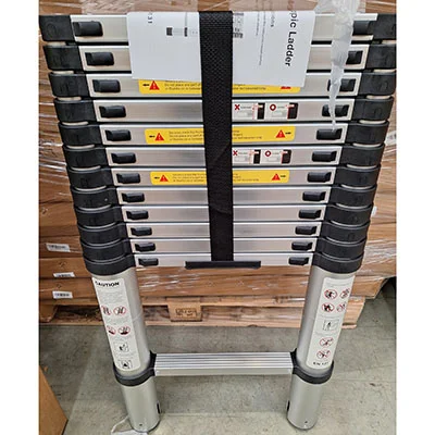 TEEMZA — 3.8M Telescopic Ladder