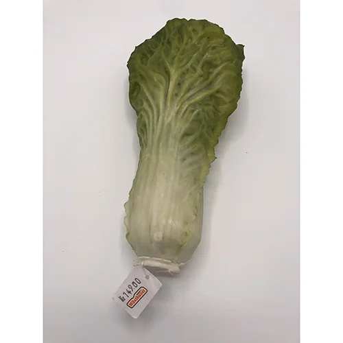 Plastic decoration