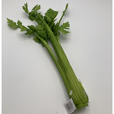 Mr Plant — Plastic celery