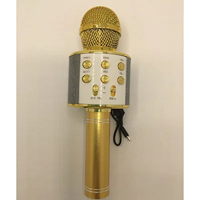 Handheld KTV — Wireless Microphone Hifi Speaker
