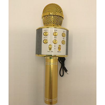 Handheld KTV — Wireless Microphone Hifi Speaker
