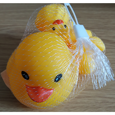 Duck