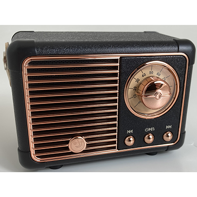 Portable Wireless Speaker