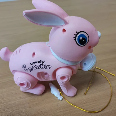 Lovely Rabbit