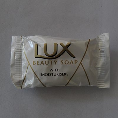 DIVERSEY — Lux Beauty Soap