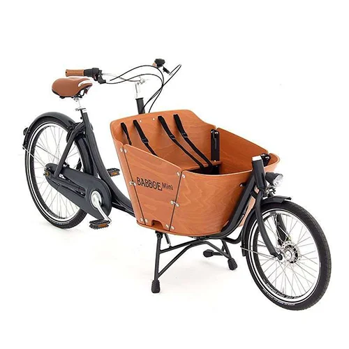 Babboe — Mini