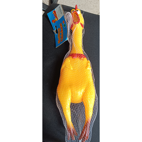 Shrilling chicken