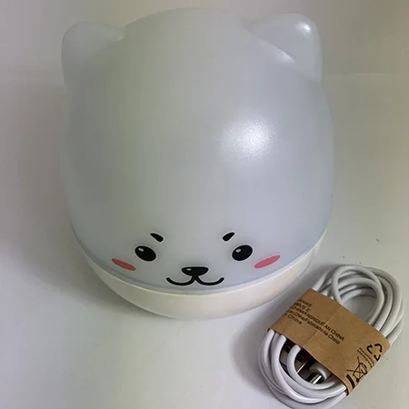 Projection lamp
