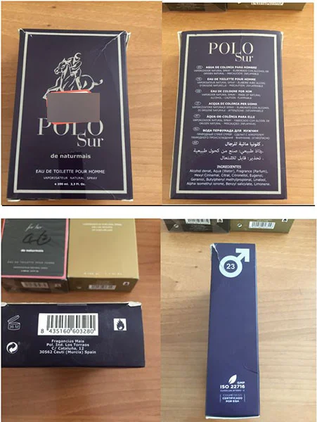 Polo Sur
