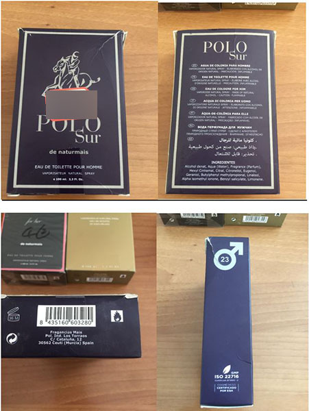 Polo Sur
