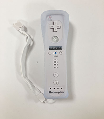 Motion Plus