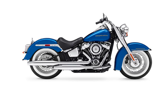 HARLEY-DAVIDSON — Softail
