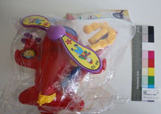 Push along toy