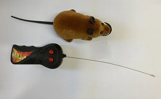 Toy mouse with remote control