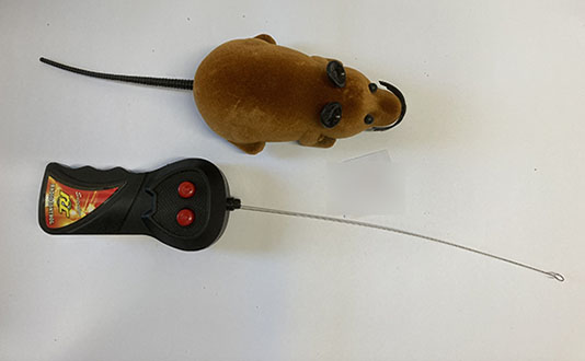 Toy mouse with remote control