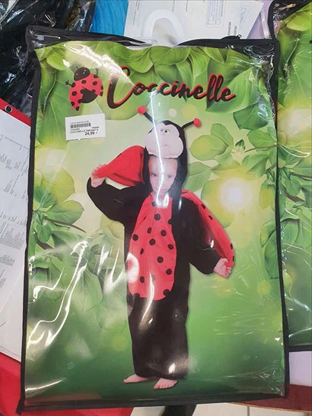 CHAKS — Coccinelle