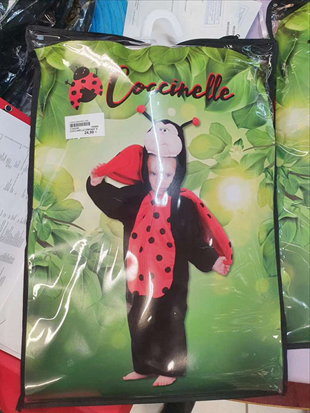 CHAKS — Coccinelle