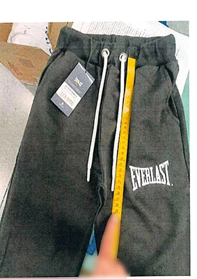 EVERLAST — EVERLAST