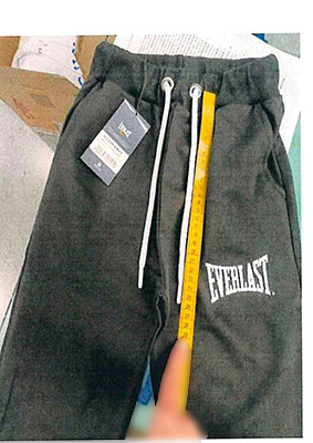 EVERLAST — EVERLAST