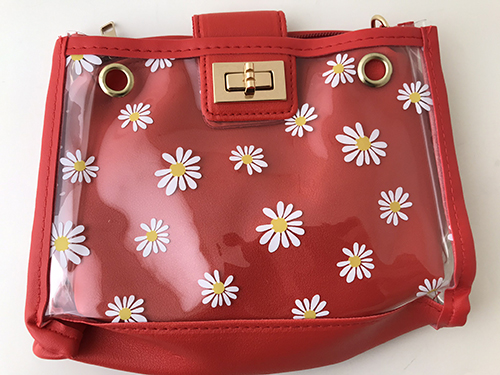 Daisy Lock Jelly Chains Crossbody Bag