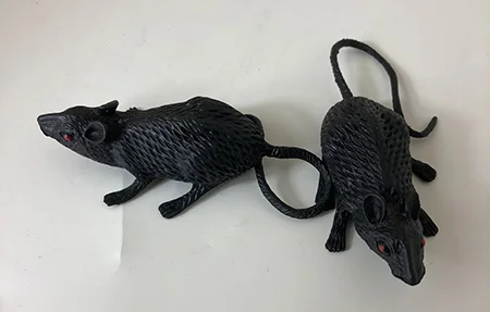 Svart plastråtta