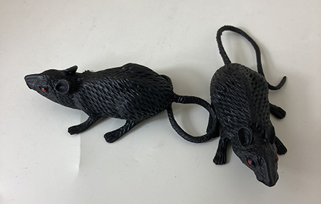 Svart plastråtta