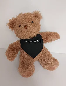 Teddy with scarf