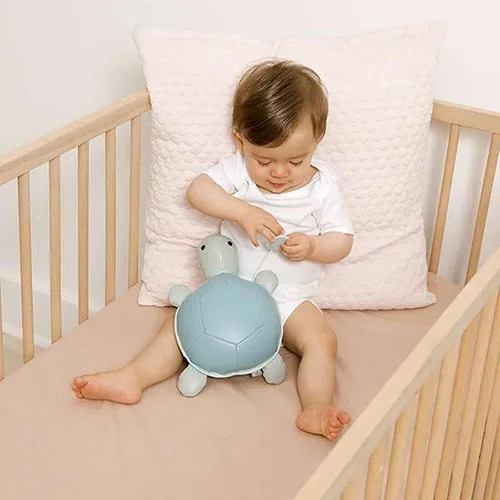 Little big friends — Les animaux musicaux