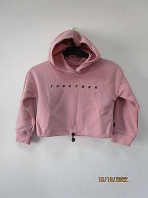 Fox — Children's hooded sweatshirt