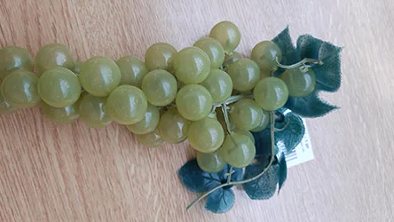 EUROPALMS — Green grapes with leaves