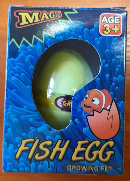 CLOWN POLSKA — Fish Egg Growing Pet