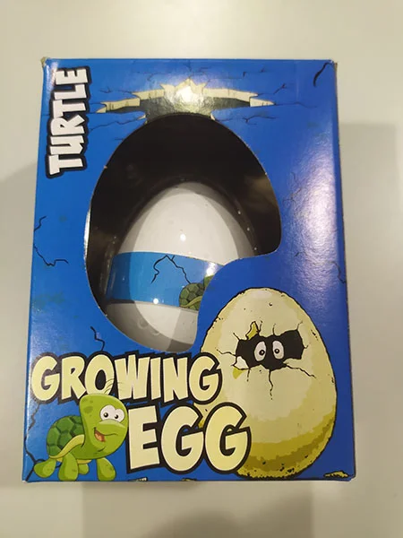 Growing Egg Turtle
