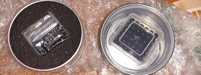Magnetické kuličky Neocube 5 mm, 216 ks – černá