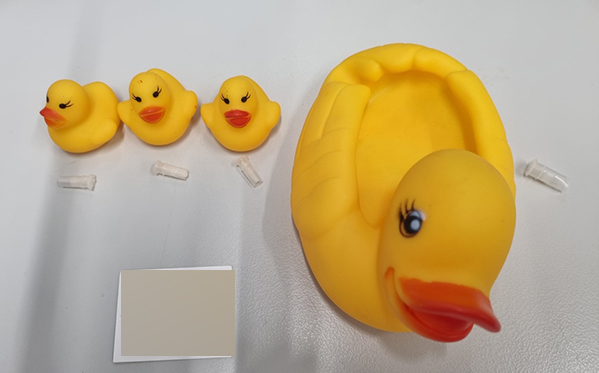DUCK