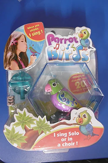 Parrot Birds