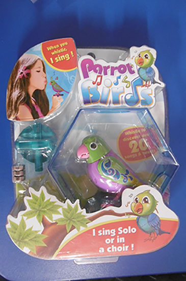 Parrot Birds