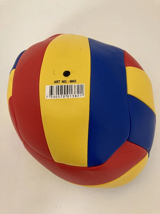 Volleyboll